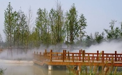 雾森